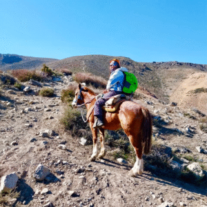Yerba loca: cabalgata al corazón de la cordillera