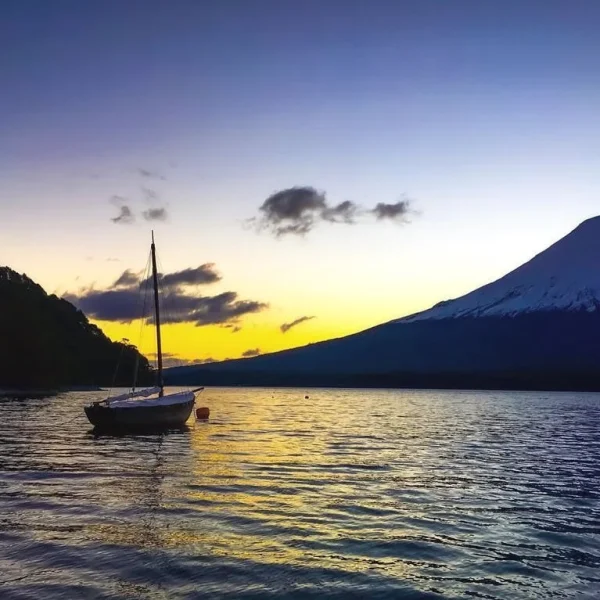 SaveClip.App_202200777_648179976581609_3003047385821538646_n (1)